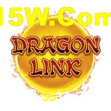 Premium Interface SS33