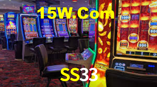 SS33